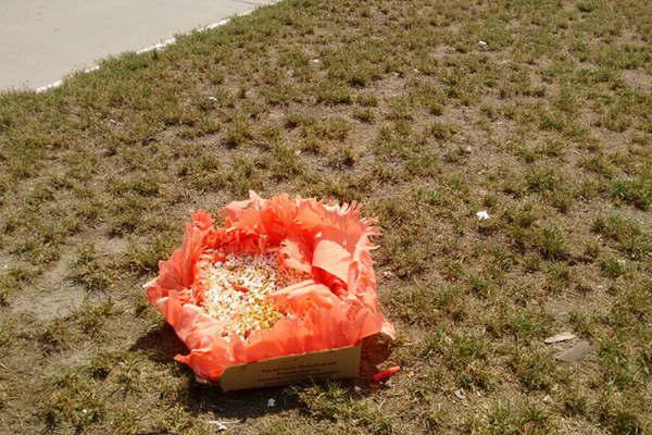 Ofrenda umbanda causoacute conmocioacuten en La Banda