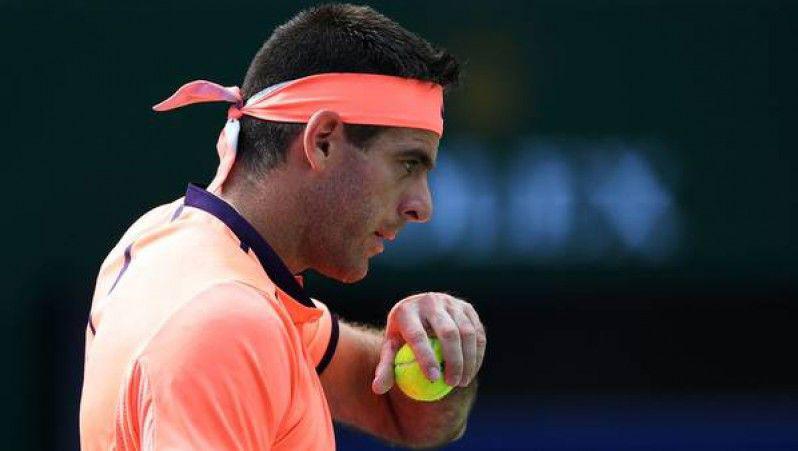  Juan Martín Del Potro