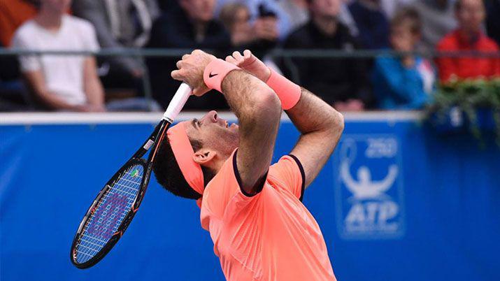 Del Potro volvioacute a ser campeoacuten despueacutes de maacutes de dos antildeos