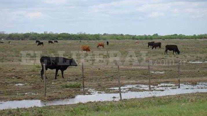 Intenso temporal en el sudeste de la provincia