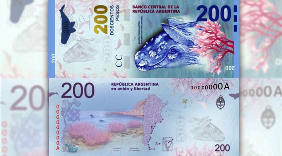 El billete de 200 pesos seraacute presentado hoy en Puerto Madryn