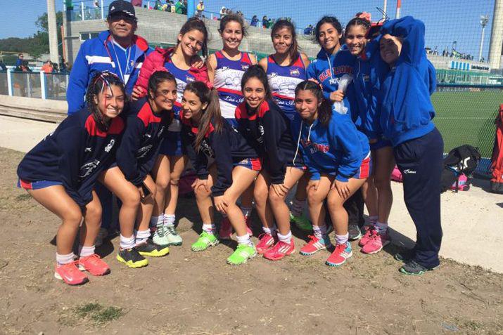 La Sexta Azul del León Foto Old Lions