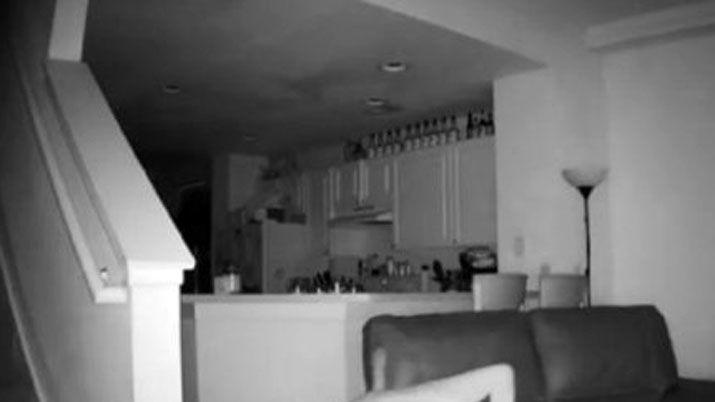 Escuchaba extrantildeos ruidos en la madrugada puso una caacutemara y se sorprendioacute