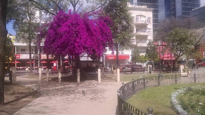 Mantildeana fresca con apenas 8deg pero la maacutexima ascenderiacutea a 28deg