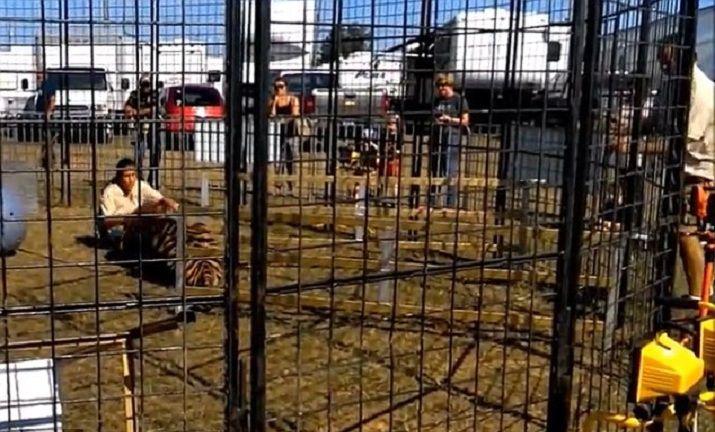 Tigre ataca a su domadora en pleno espectaacuteculo