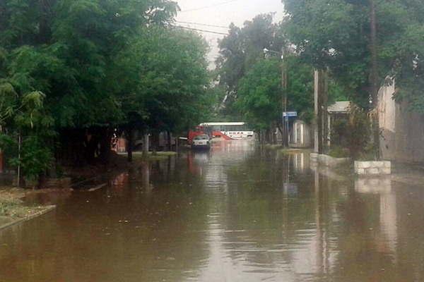 La intensa lluvia con granizo provocoacute la caiacuteda de aacuterboles y voladura de techos en Capital