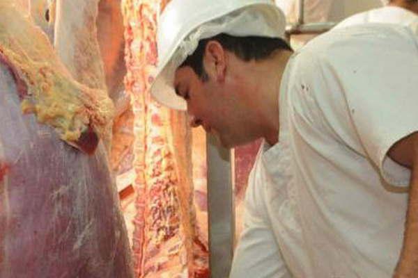 Preparan un paquete de medidas para combatir evasioacuten en carnes y granos