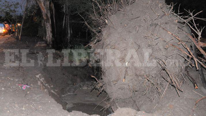 El sudeste provincial se vio afectado por vendaval- volaron techos aacuterboles y postes