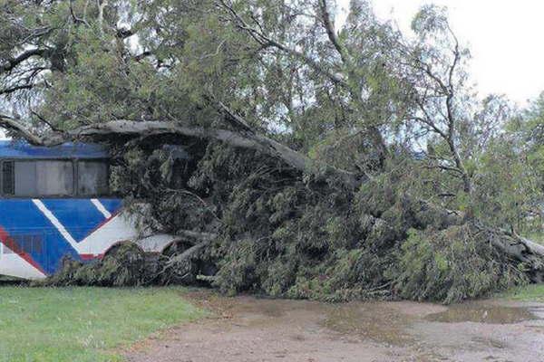 Bandera soportoacute dos inundaciones y anegamientos antes de esta tormenta