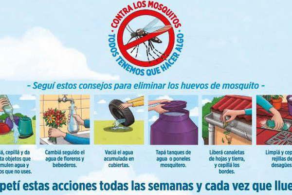 Salud reiteroacute recomendaciones para evitar la proliferacioacuten del Aedes aegypti