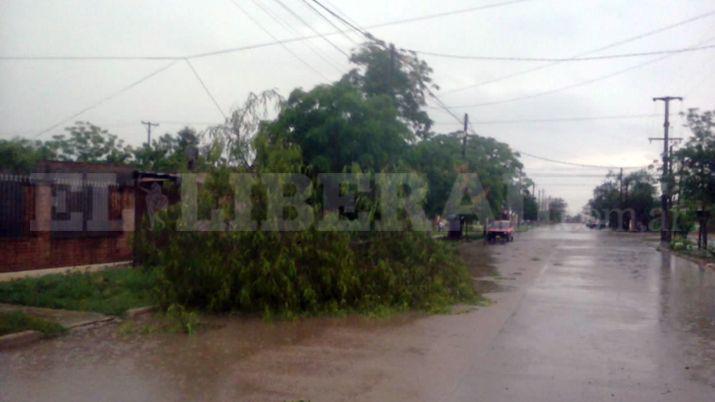 Una fuerte tormenta con granizo causoacute desastres en Antildeatuya