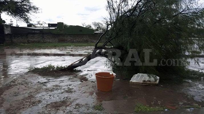 Fotos enviadas al 3854894296