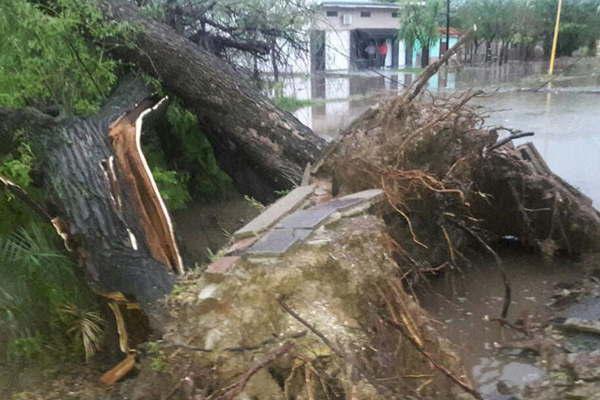 Devastadora tormenta de viento agua y granizo causoacute graves dantildeos en varios puntos de la provincia