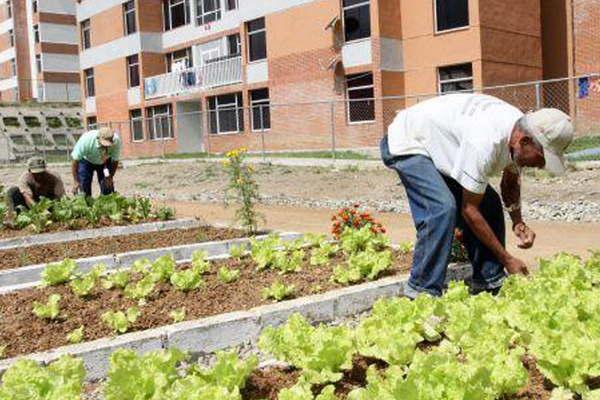 Se realizaraacute hoy el Primer Seminario Internacional de Agricultura Urbana 