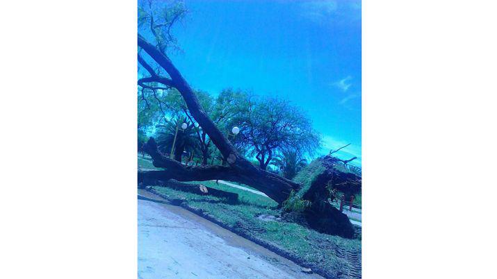Las imaacutegenes del desastre que causoacute la tormenta en Antildeatuya