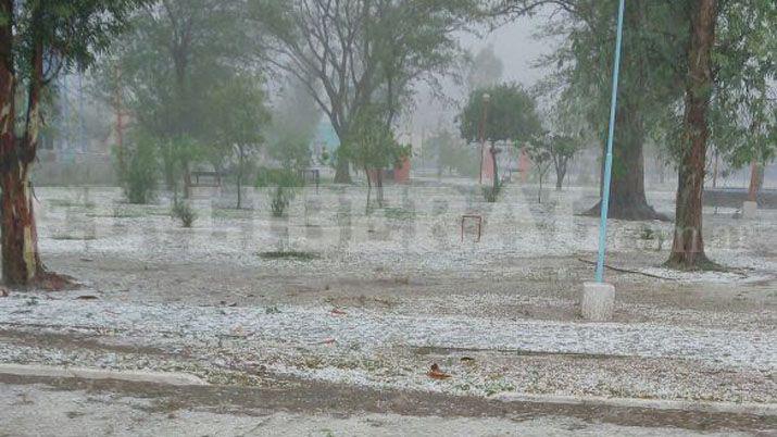 Fotos enviadas por lectores de EL LIBERAL