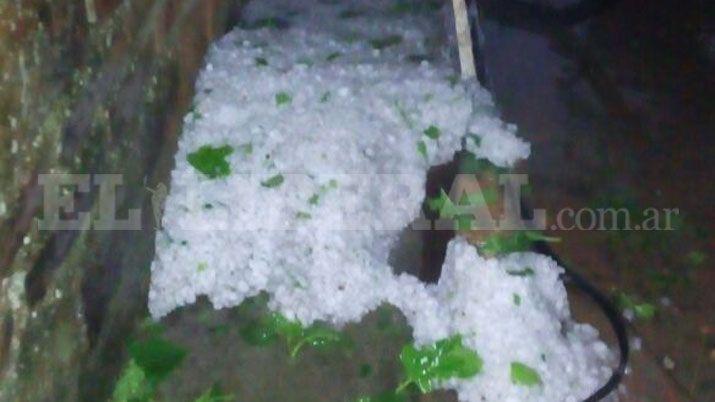 Fotos enviadas por lectores de EL LIBERAL