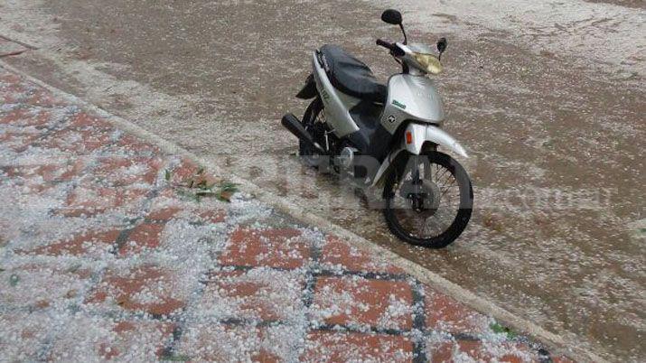 Fotos enviadas por lectores de EL LIBERAL