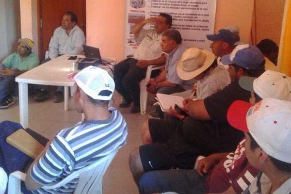El Inta y la comuna promueven la  criacutea de cerdos en Cantildeada Escobar
