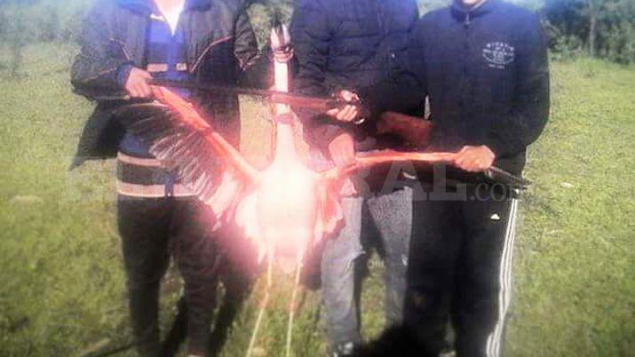 Indignacioacuten por joacutevenes que cazaron a un flamenco