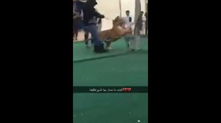 Video- Tigre ataca a una nintildea en pleno mercado