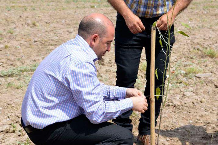 Mirolo plantoacute el aacuterbol nuacutemero 3600 en el barrio Constitucioacuten