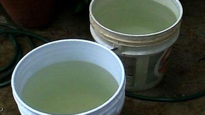 Horror- una beba de un antildeo murioacute tras caer en un balde de agua