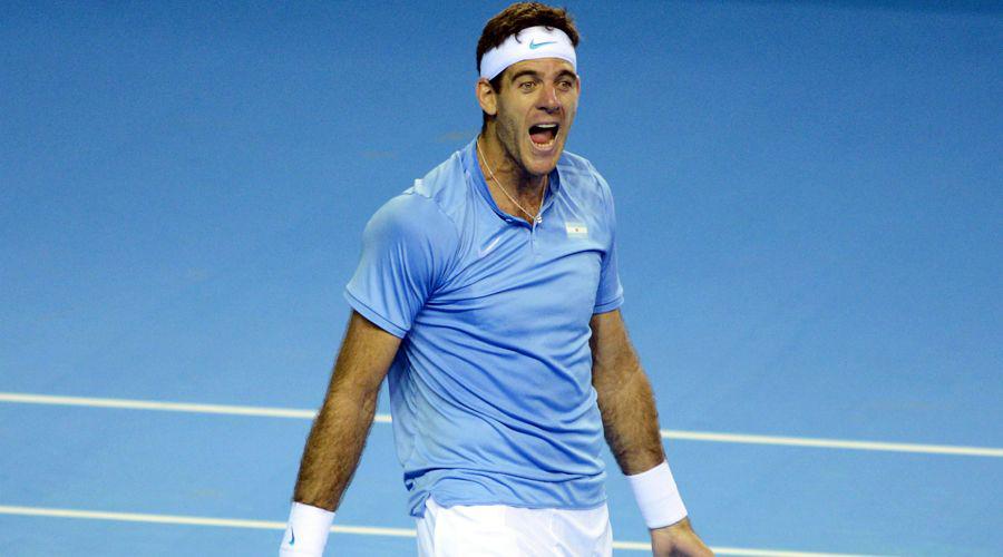 Juan Martín del Potro jugó el mejor partido del año en el mundo del tenis