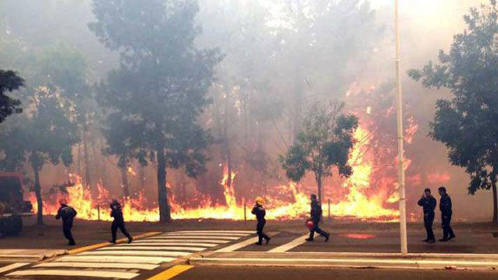 Buenos Aires- voraz incendio consume bosques de Cariló y Valeria del Mar