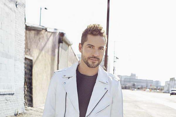 Bisbal pide solidaridad  con los que huyen de Siria 