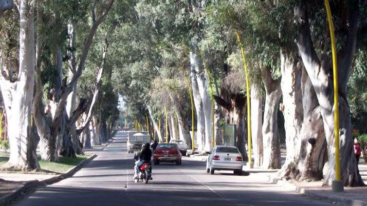 Entroacute al gimnasio a entrenarse y le robaron 3500 de su auto