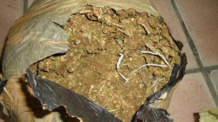 Insoacutelito- pasajero se olvidoacute un paquete con marihuana en un colectivo