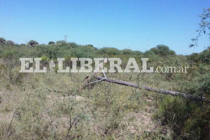 La caida de los postes originó el inconveniente