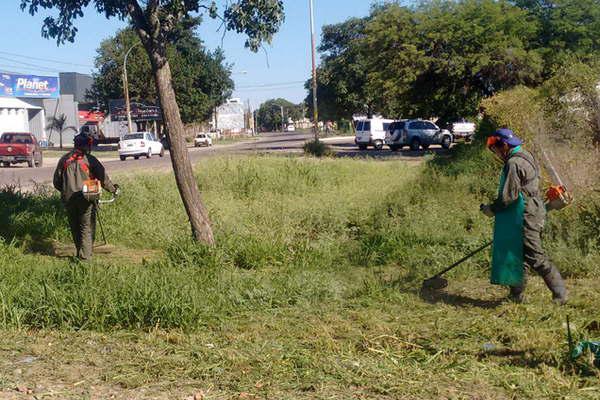 El desmalezamiento y la fumigacioacuten en la ciudad son dos prioridades para la Municipalidad de La Banda