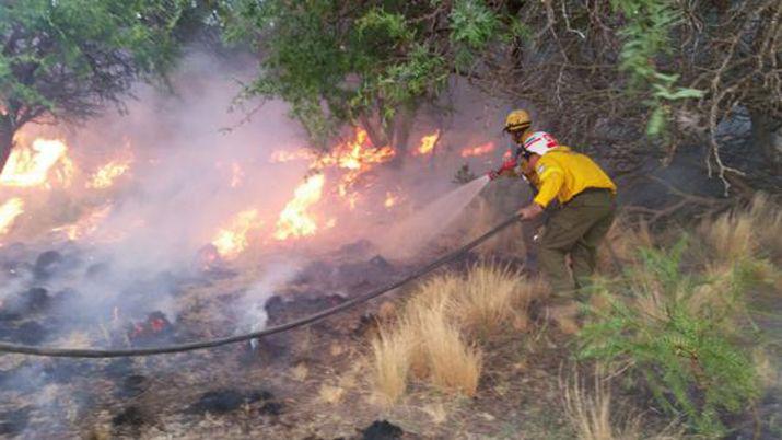 La Pampa- hay nuevos focos de incendio