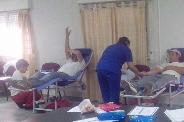 Realizaraacuten colectas masivas de sangre en toda la provincia
