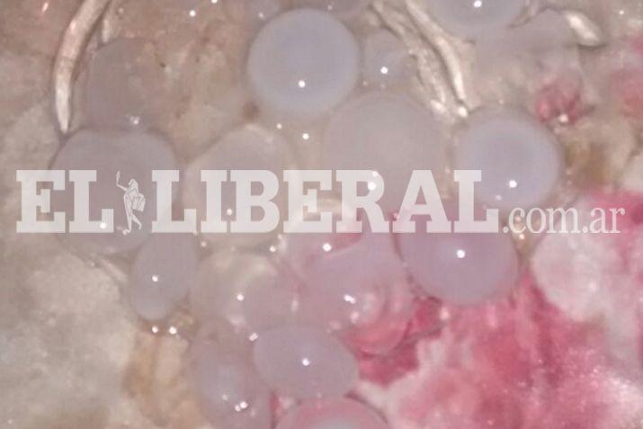Los lectores de EL LIBERAL enviaron imgenes del granizo que cayó en la Madre de Ciudades