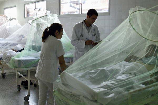 Salud- estudian 15 posibles casos de dengue en La Plata