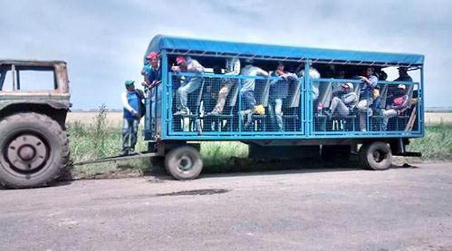 Rescataron a 48 santiaguentildeos esclavizados en un campo