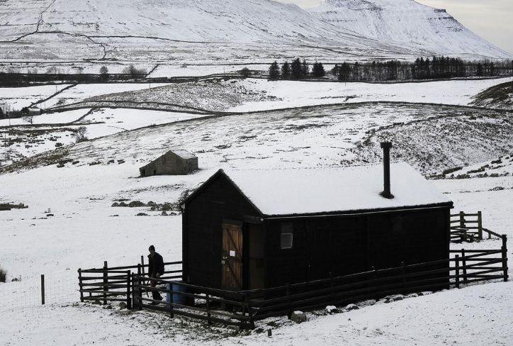 Impresionante- Encuentran un zorro congelado en un enorme bloque de hielo