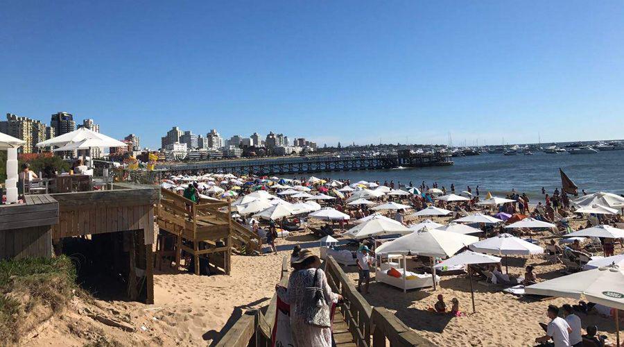 El OVO Beach sigue siendo el parador preferido de los veraneantes de Punta