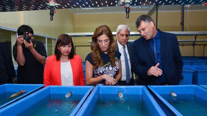 El Instituto de Investigacioacuten y Desarrollo Aplicado de Hidrobiologiacutea se sumaraacute a los atractivos