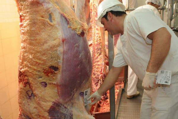 Delincuentes robaron 600 kilos de carne de un camioacuten