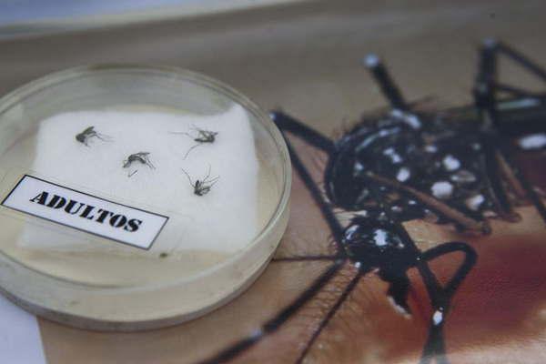 Destacaron el trabajo conjunto entre las provincia y la Nacioacuten 