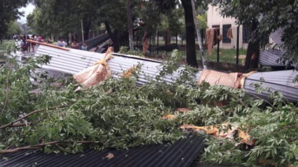 Un aacuterbol cayoacute sobre una casa y matoacute a una mujer y a sus dos hijas