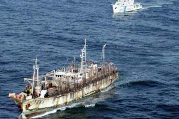 En el liacutemite de lo legal y a metros del Mar Argentino cientos de barcos depredan el Atlaacutentico Sur