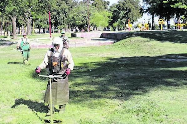 La Comuna aconseja coacutemo combatir animales venenosos