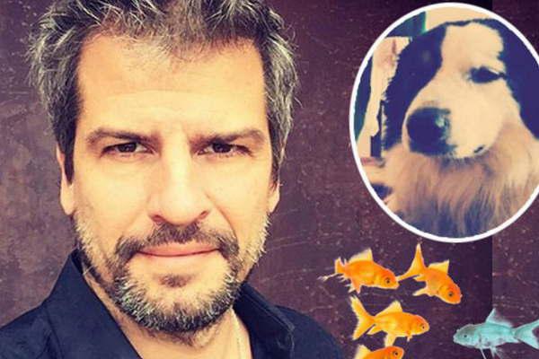 La insoacutelita separacioacuten de bienes del hermano de Susana Gimeacutenez 