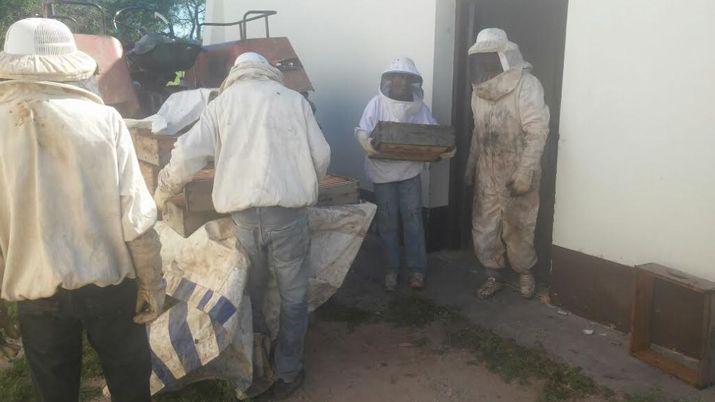 Productores apícolas sostienen su actividad asociados a una cooperativa