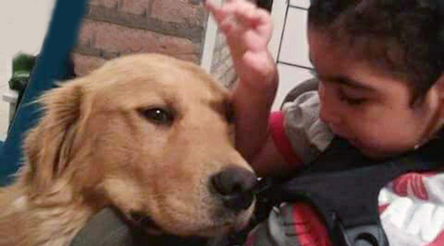 Nene de 4 antildeos con paraacutelisis cerebral busca a su perro
